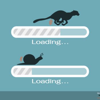 An SEO best practices cat and a snail on a loading bar.