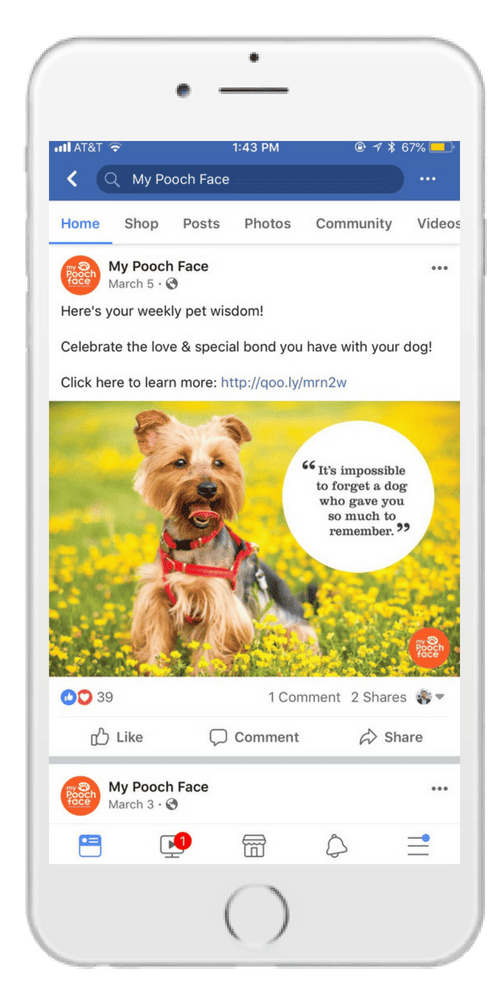 A captivating Facebook ad showcasing a dog frolicking in a lush field.